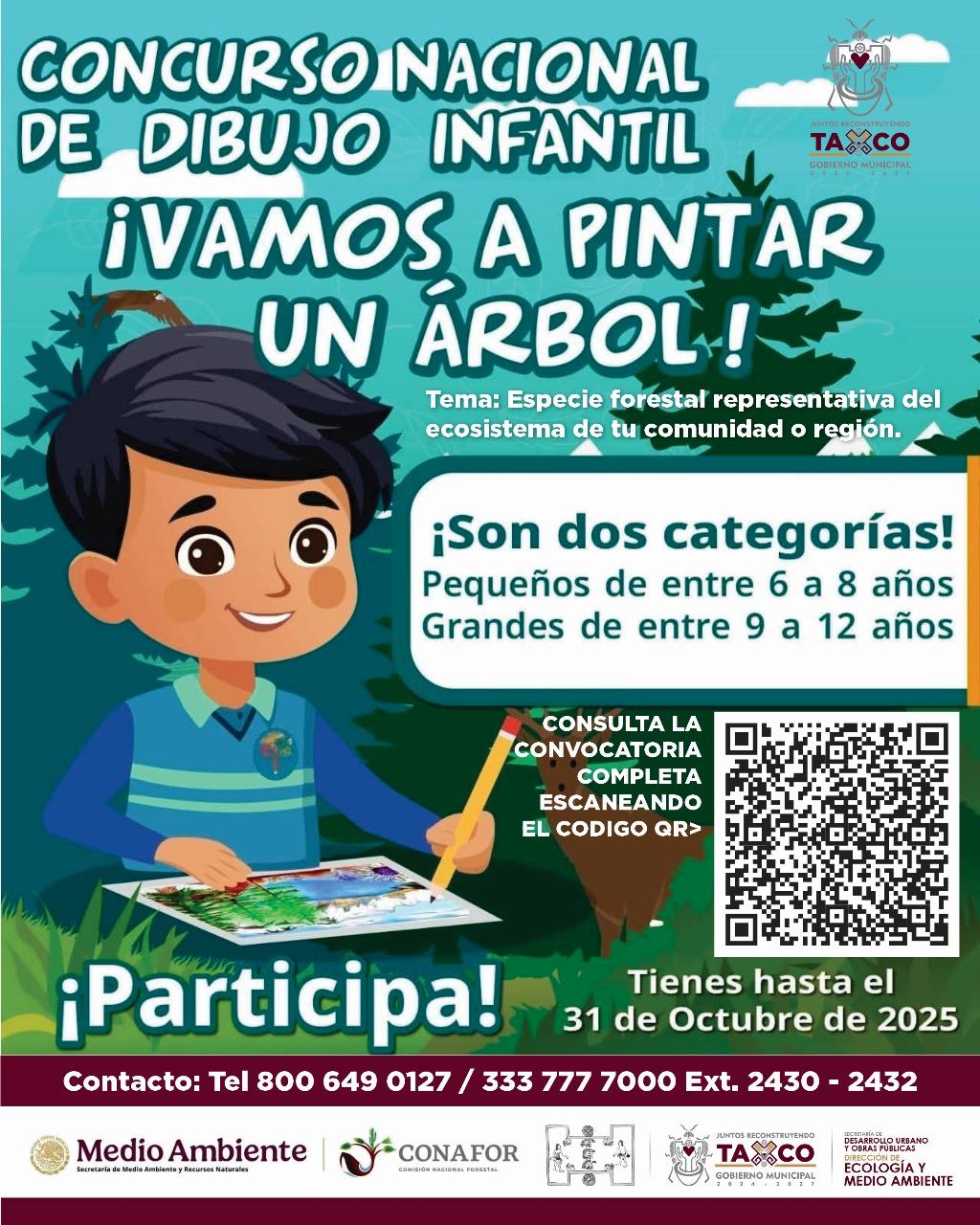 InformeTaxco