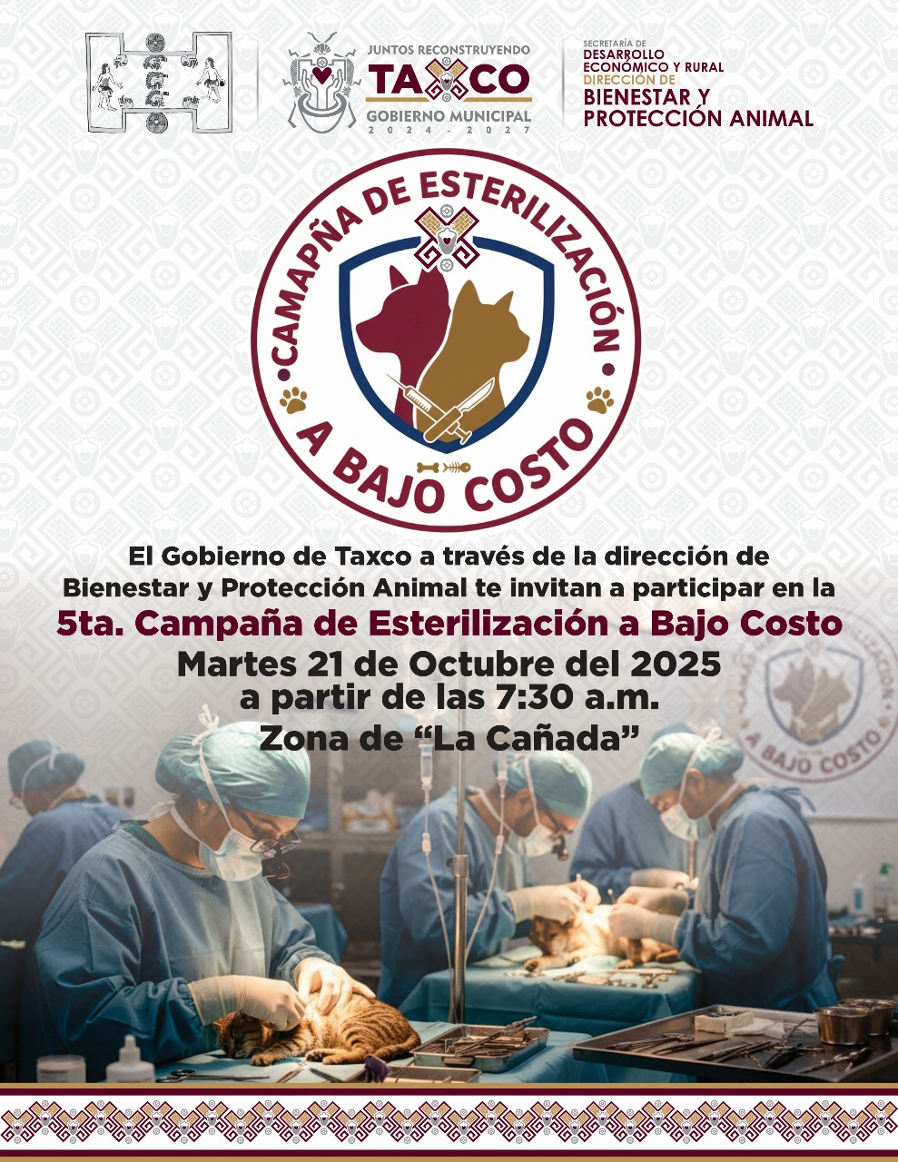 InformeTaxco