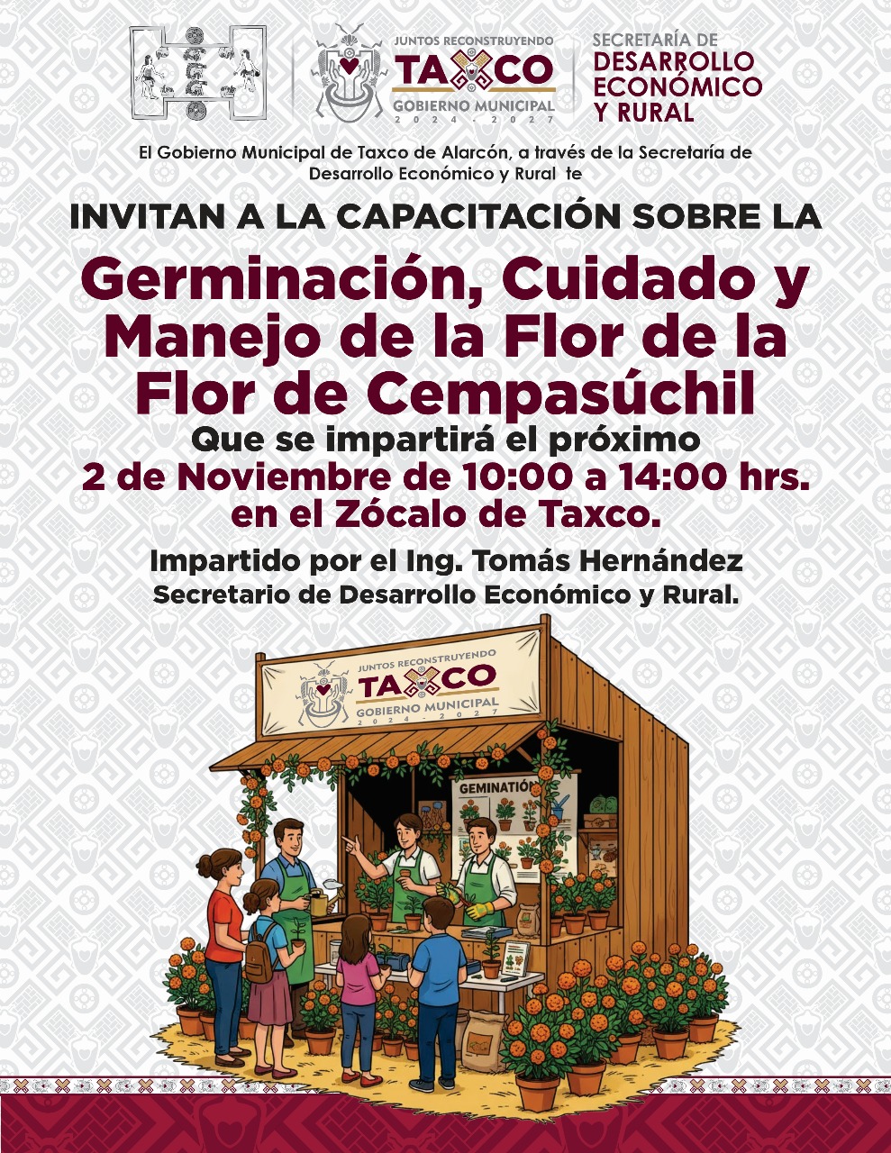 InformeTaxco